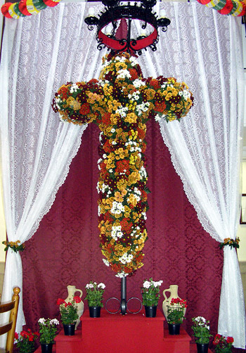 20060520cruzmayo01