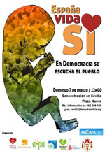 vidasi02